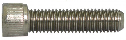 M6 Socket Cap Screw Stainless 304