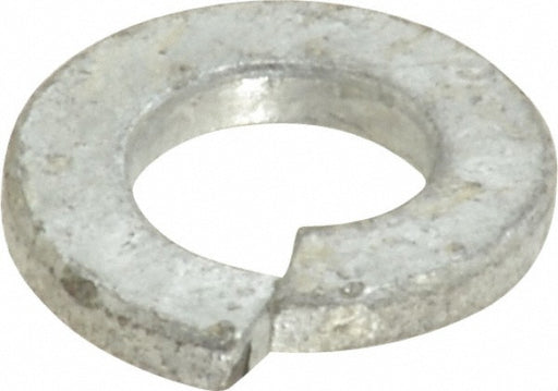 Spring Washer Galvanised
