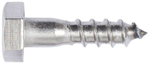 M10 Coach Screw Stainless 316