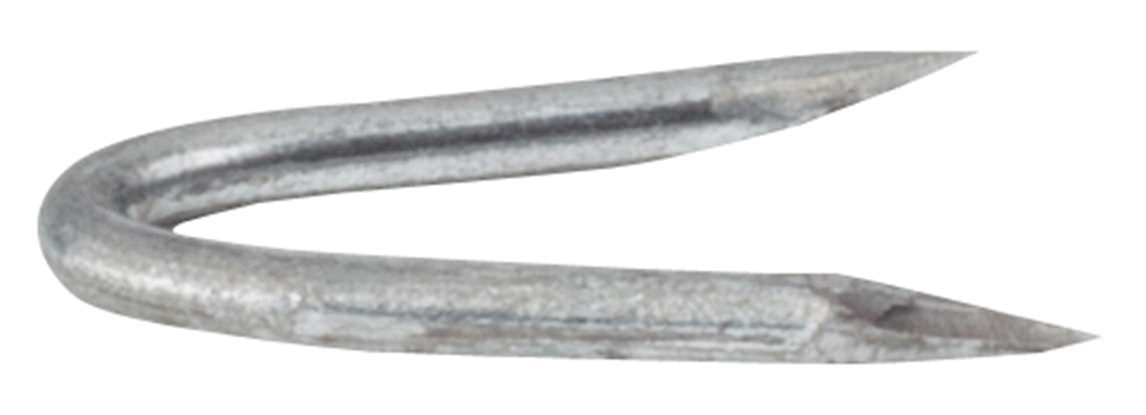 Delfast Staples Slice Galvanised